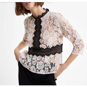 Zara Two Tone Pink and Black Lace Peplum Blouse size Small